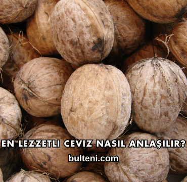 En Lezzetli Ceviz Nasıl Anlaşılır?