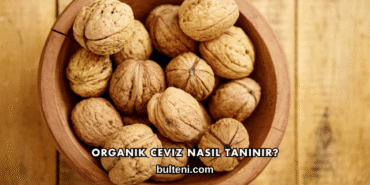 Organik Ceviz Nasıl Tanınır?