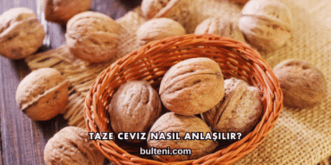 Taze Ceviz Nasıl Anlaşılır?